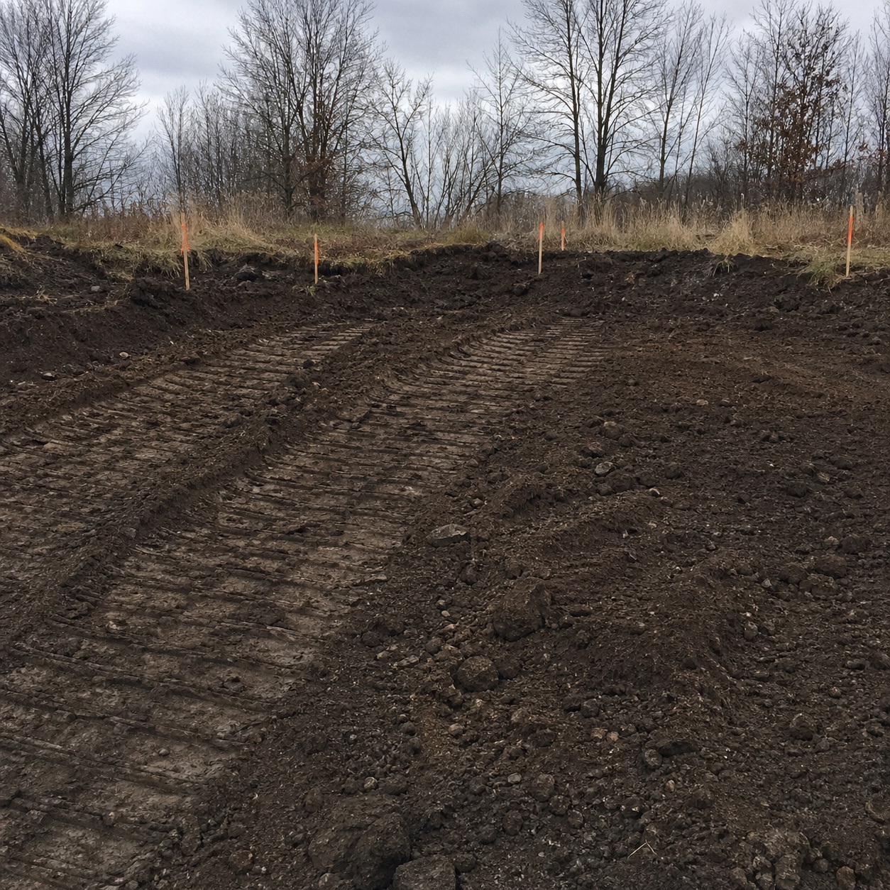 Heavy machinery track marks on freshly excavated soil with survey stakes