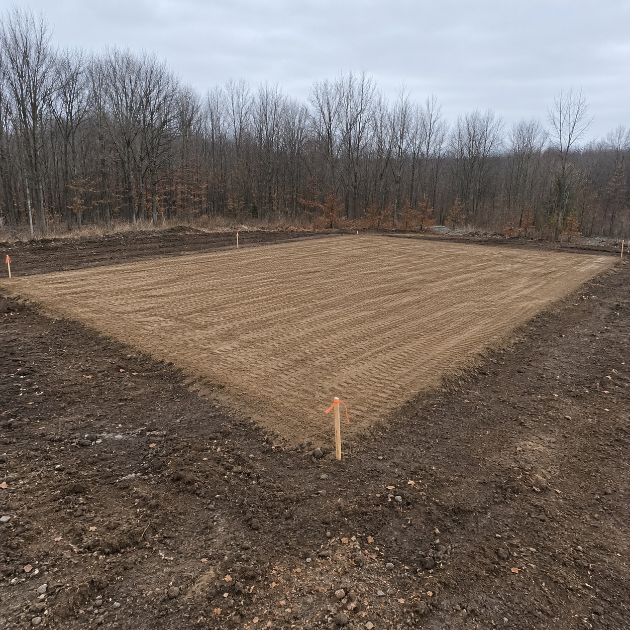 Freshly graded and compacted commercial building pad with roller compactor track marks