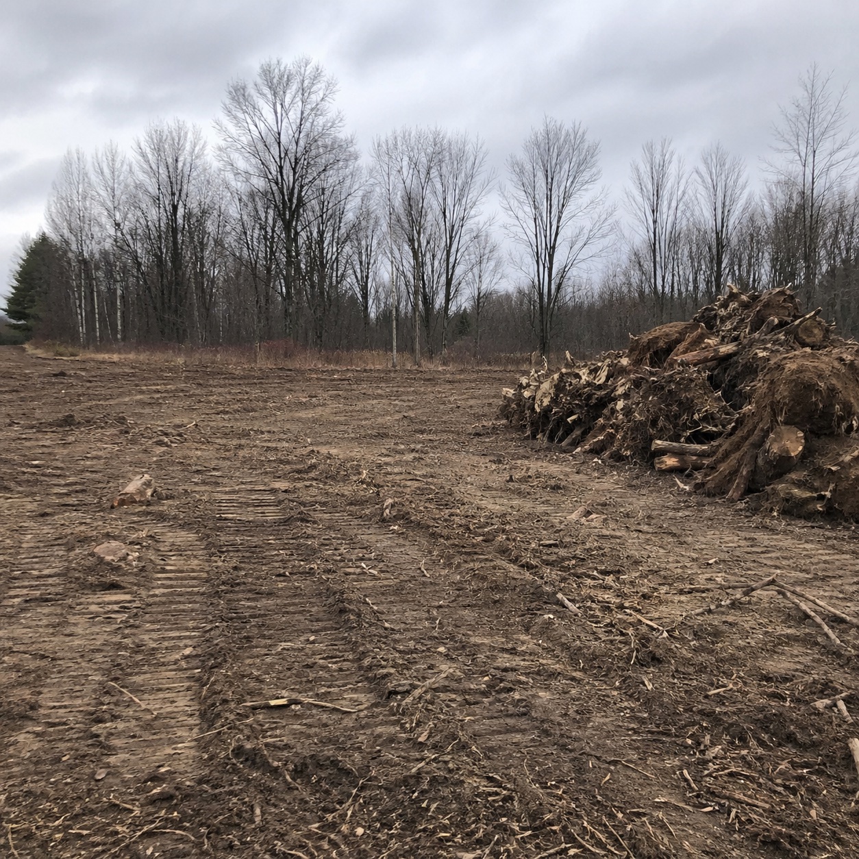 Lot Clearing